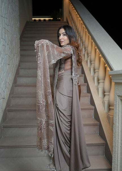 Pure Lycra with Imported net Pallu and Handwork